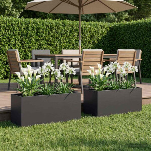 vidaXL Plantenbak 2 st Zwart 80 x 40 x 40 cm Koudgewalst staal