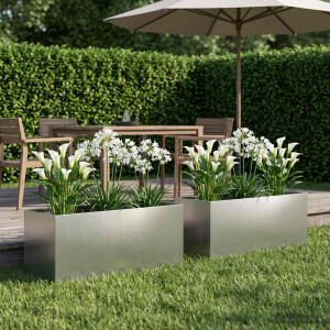 vidaXL Plantenbak 2 st zilver 80 x 40 x 40 cm Roestvrij staal