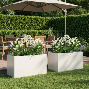 vidaXL Plantenbak 2 st Wit 80 x 50 x 50 cm Koudgewalst staal