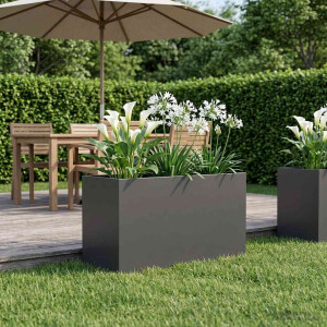 vidaXL Plantenbak Zwart 100 x 50 x 50 cm Koudgewalst staal