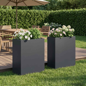 vidaXL Plantenbak 2 st Antraciet 40 x 20 x 40 cm Koudgewalst staal