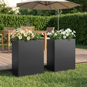 vidaXL Plantenbak 2 st Zwart 40 x 20 x 50 cm Koudgewalst staal