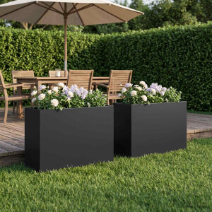 vidaXL Plantenbak 2 st Zwart 50 x 20 x 40 cm Koudgewalst staal