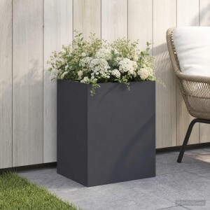 vidaXL Plantenbak Antraciet 40 x 30 x 50 cm Koudgewalst staal