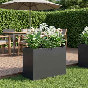 vidaXL Plantenbak Zwart 60 x 30 x 40 cm Koudgewalst staal