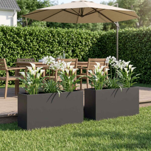 vidaXL Plantenbak 2 st Zwart 100 x 30 x 40 cm Koudgewalst staal