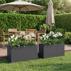 vidaXL Plantenbak 2 st Antraciet 100 x 30 x 40 cm Koudgewalst staal