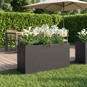 vidaXL Plantenbak Zwart 100 x 30 x 50 cm Koudgewalst staal