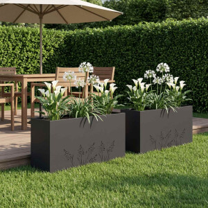vidaXL Plantenbak 2 st Zwart 100 x 30 x 49 cm Koudgewalst staal