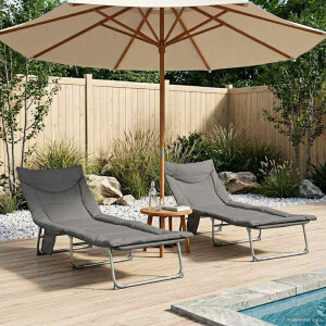 vidaXL Opvouwbare zonnebed met kussen 2 pcs Antracietkleurig