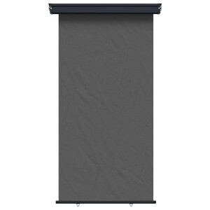 vidaXL Zijscherm Balkon 100% polyester ijzer staal