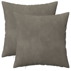 vidaXL Kussensloop 2 pcs HEERLEN Lichtgrijs 45 x 45 cm Fluweel
