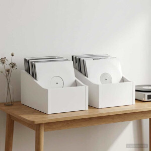 vidaXL LP Recorddoos 2 st Wit 18 x 32 x 18 cm Bewerkt hout
