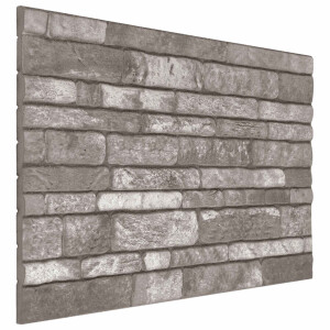 vidaXL Wandpanelen 10 pcs Donkergrijs 100 x 50 cm EPS-schuim