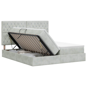 vidaXL Opslag bed met hoofdeinde Lichtgrijs 200 x 200 cm Fluweel