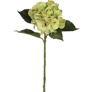 Mica Decorations Kunstbloem - Hortensia tak - groen - 51 cm - losse steel - Kunst zijdebloemen