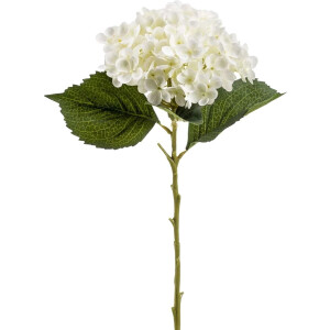 Emerald Kunstbloem hortensia tak - Annabelle - 52 cm - creme - Kunst zijdebloem - Hydrangea