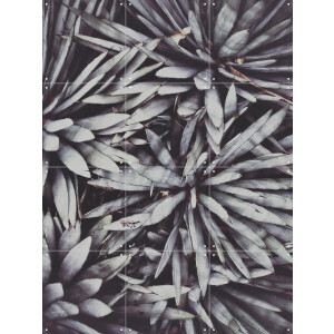 IXXI Polaroids From Saint Laurent 02, STUDIO HANNAH LEMHOLT - 60 x 80 cm - Gratis ophangtool - Grote wanddecoratie en posters - Minimalisme