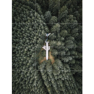 IXXI Airplane Home, Tristan Zhou - 60 x 80 cm - Gratis ophangtool - Grote wanddecoratie en posters - Fotografie, Woonkamer, Mancave, Bossen, Natuur