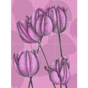 IXXI Purple Tulips, Cecilia Battaini - 60 x 80 cm - Gratis ophangtool - Grote wanddecoratie en posters - Naturalisme, Tekeningen, Illustraties, Gang