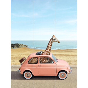 IXXI Italy, Paul Fuentes - 60 x 80 cm - Gratis ophangtool - Grote wanddecoratie en posters - Fotografie, Kleurrijk, Vintage, Pop art, Speels