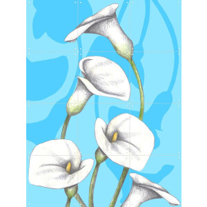 IXXI Calla Lily, Cecilia Battaini - 60 x 80 cm - Gratis ophangtool - Grote wanddecoratie en posters - Digitale Kunst, Illustraties, Grafisch Ontwerp