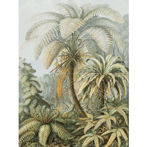 IXXI Ferns color, Ernst Haeckel & Victoria and Albert Museum - 60 x 80 cm - Gratis ophangtool - Grote wanddecoratie en posters - Kleurrijk