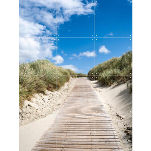 IXXI Path through the dunes, Jan Becke - 60 x 80 cm - Gratis ophangtool - Grote wanddecoratie en posters - Fotografie, Naturalisme, Woonkamer