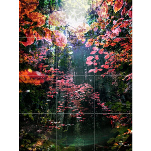 IXXI Enchanted, Angelo Cerantola - 60 x 80 cm - Gratis ophangtool - Grote wanddecoratie en posters - Fotografie, Gemengde Technieken, Woonkamer