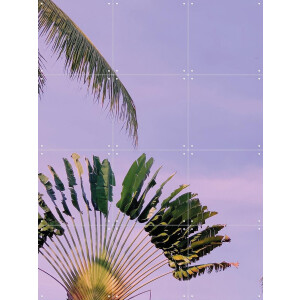 IXXI Tropical Sunset, We Like Bali - 60 x 80 cm - Gratis ophangtool - Grote wanddecoratie en posters - Naturalisme, Fotografie, Kleurrijk, Slaapkamer