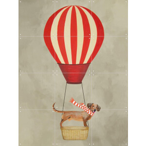 IXXI Dachshund with airballoon, Coco de Paris - 60 x 80 cm - Gratis ophangtool - Grote wanddecoratie en posters - Digitale Kunst, Speels, Cartoonesk