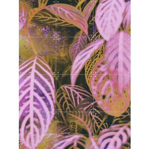 IXXI Seek, Amber Lauder - 60 x 80 cm - Gratis ophangtool - Grote wanddecoratie en posters - Abstract, Illustraties, Digitale Kunst, Kleurrijk