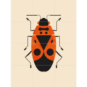 IXXI The Firebug, Studio Kars + Boom - 60 x 80 cm - Gratis ophangtool - Grote wanddecoratie en posters - Speels, Kleurrijk, Digitale Kunst