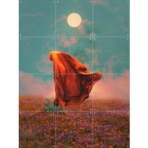IXXI Fields, Fran Rodriguez - 60 x 80 cm - Gratis ophangtool - Grote wanddecoratie en posters - Surrealisme, Kleurrijk, Digitale Kunst, Slaapkamer
