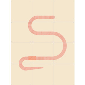 IXXI The Earthworm, Studio Kars + Boom - 60 x 80 cm - Gratis ophangtool - Grote wanddecoratie en posters - Illustraties, Line art, Grafisch Ontwerp