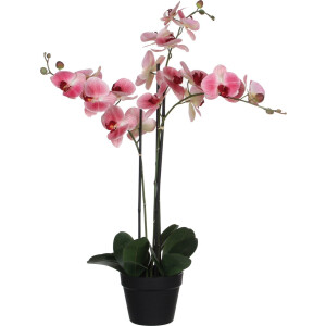 Mica Decorations Orchidee bloem kunstplant - roze - H75 x B50 cm