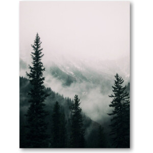 Hoge bomen in het bos in de bergen bedekt met de mist - 30x40 Dibond voor Binnen én Buiten - Besteposter - Landschap