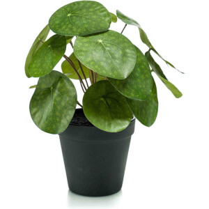 Emerald - Kunstplant in pot Pilea 22cm - Kunstplant voor binnen