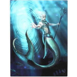 Something Different - 19x25cm Water Element Wizard Canvas afbeelding - Multicolours