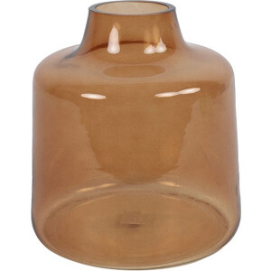 Fles buikig ro Jolina bruin