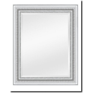 Spiegel Cesarino Zilver Buitenmaat 65x75cm