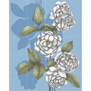 IXXI White Roses, Cecilia Battaini - 80 x 100 cm - Gratis ophangtool - Grote wanddecoratie en posters - Naturalisme, Illustraties, Tekeningen