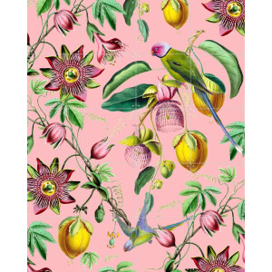 IXXI Botanical Garden, Creative Lab Amsterdam - 80 x 100 cm - Gratis ophangtool - Grote wanddecoratie en posters - Kleurrijk, Kinderkamer, Babykamer