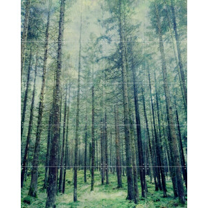 IXXI Altopiano, Angelo Cerantola - 80 x 100 cm - Gratis ophangtool - Grote wanddecoratie en posters - Fotografie, Kleurrijk, Naturalisme, Slaapkamer