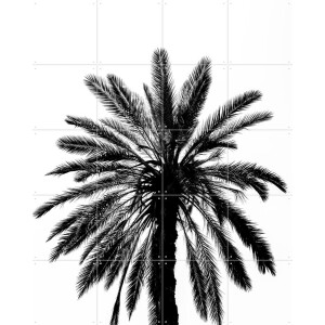IXXI Palm in Palermo, Photolovers - 80 x 100 cm - Gratis ophangtool - Grote wanddecoratie en posters - Minimalistisch, Fotografie, Woonkamer