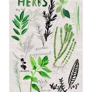 IXXI Herbs, Signorinah - 80 x 100 cm - Gratis ophangtool - Grote wanddecoratie en posters - Illustraties, Speels, Woonkamer, Eetkamer, Keuken