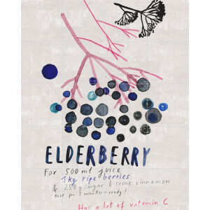 IXXI Elderberry, Signorinah - 80 x 100 cm - Gratis ophangtool - Grote wanddecoratie en posters - Speels, Illustraties, Aquarel, Keuken, Eetkamer