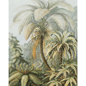 IXXI Ferns color, Ernst Haeckel & Victoria and Albert Museum - 80 x 100 cm - Gratis ophangtool - Grote wanddecoratie en posters - Kleurrijk