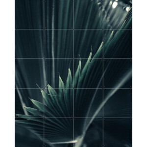 IXXI Palm Shade 1, Chris Abatzis - 80 x 100 cm - Gratis ophangtool - Grote wanddecoratie en posters - Fotografie, Woonkamer, Slaapkamer, Planten