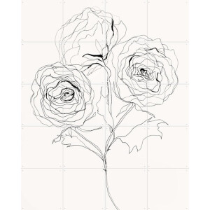 IXXI Ranunculus Study, Leigh Viner - 80 x 100 cm - Gratis ophangtool - Grote wanddecoratie en posters - Grafisch Ontwerp, Line art, Minimalistisch